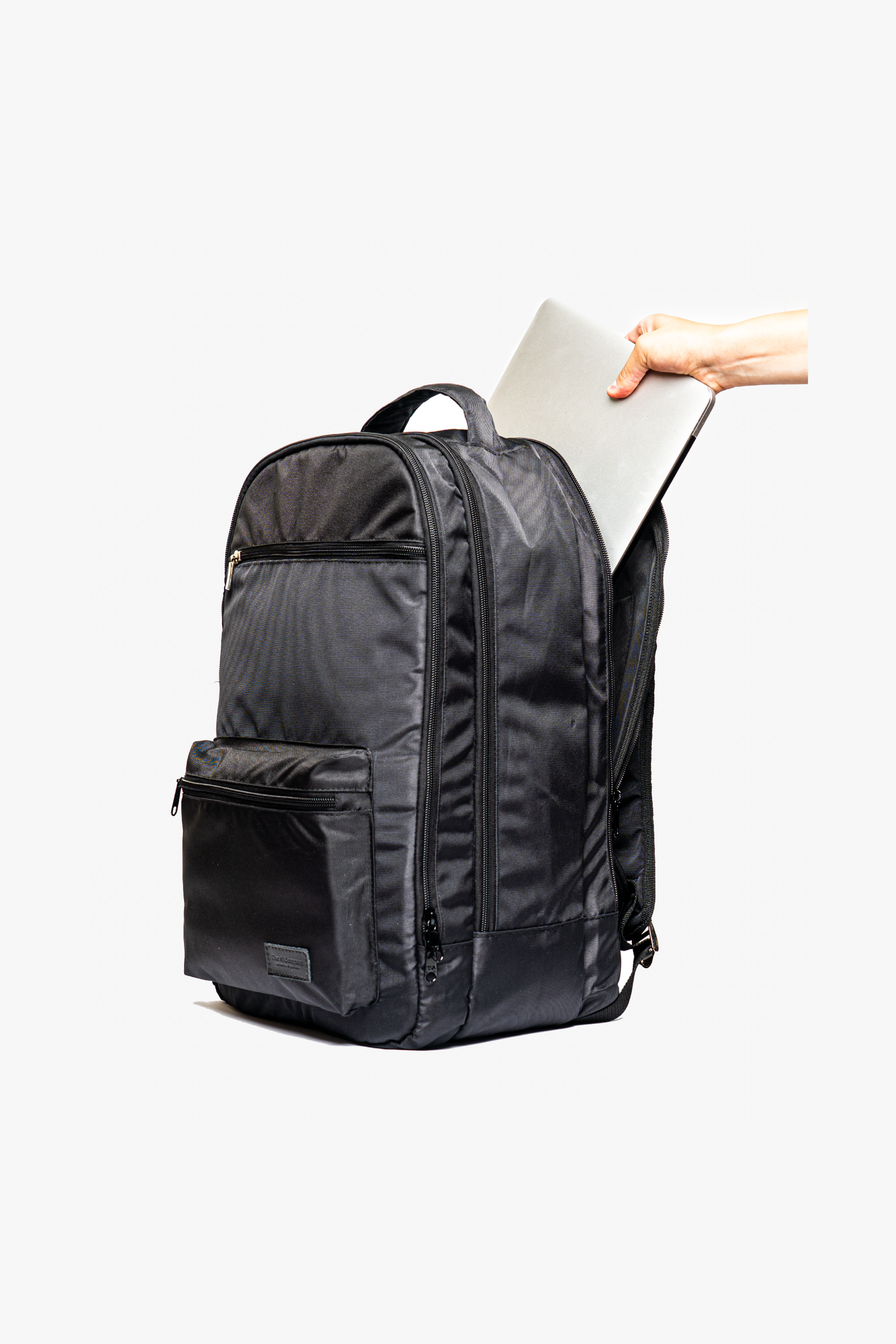 Morral Erizo