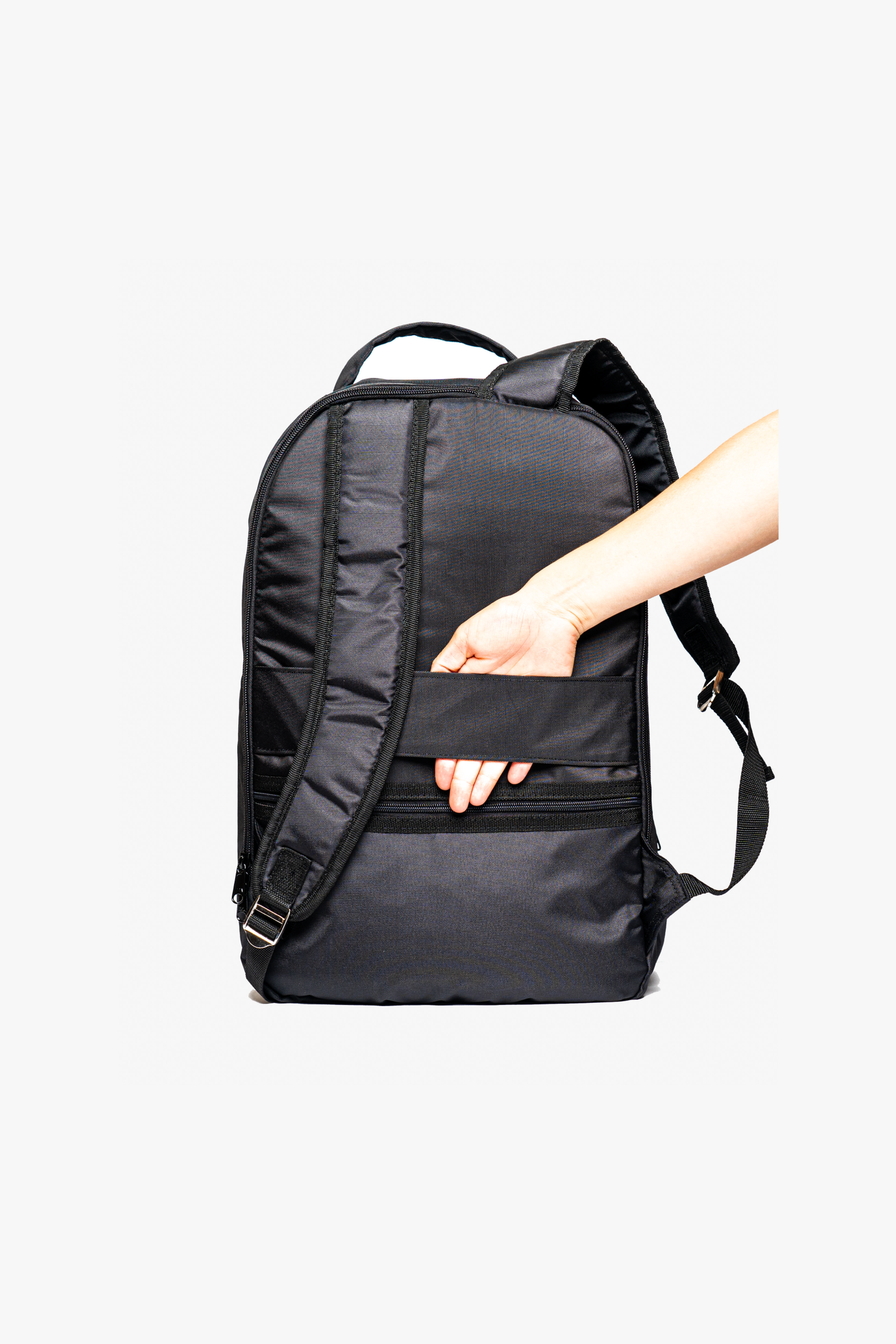Morral Erizo