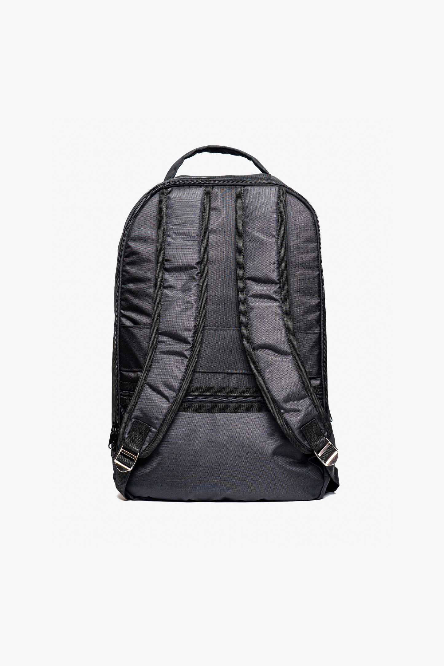 Morral Erizo